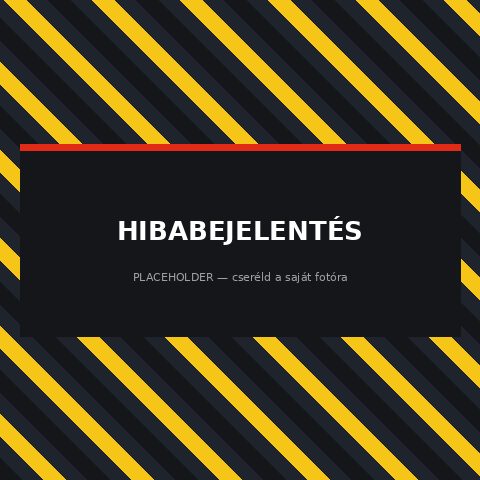 Hibabejelentés
